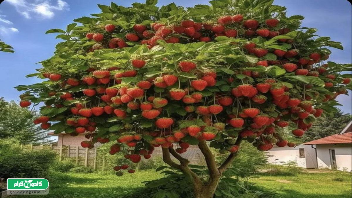 5 اشتباه مرگبار در زمان کاشت درختان میوه | راهنمای علمی و تجربی گلدون‌گرام
