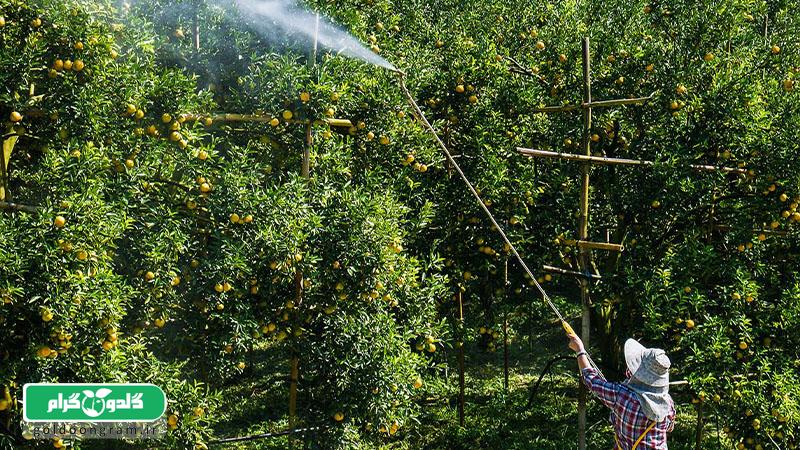 خطاهایی که نباید در کوددهی انجام داد