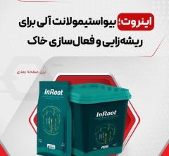 ریشه زای انفجاری اینروت