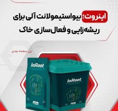 ریشه زای انفجاری اینروت